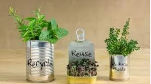 Upcycling Ideas: Turning Trash into Treasure