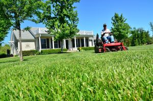 Lawn Care